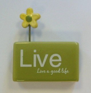 *SALE* Daisy Style Message Brick Flower Mini - Live. Was £2.49, Now £1.49