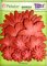 Petaloo Core-dinations ColorMatch Layered Flowers-Cardinal Red