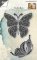 Joy Craft - Cutting Embossing and Debossing Stencil - Butterflies Gracefull
