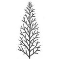 *SALE* Dreamweaver Stencil - Single Bare Tree