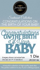 Jamie Rodgers Sentiment Die - Congratulations on the Birth of your Baby