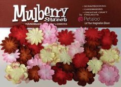 Petaloo Mulberry St. Mini Delphiniums-Red/Pnk/Wht/Choc