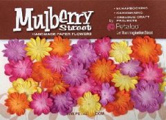 Petaloo Mulberry St. Mini Delphiniums-MulberrySt. -Fuchsia_Orange_Yellow_Lavender