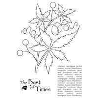 Woodware Clear Stamp - The Vine