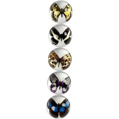 3D Cabochons - Asst Butterflies (5 pieces)