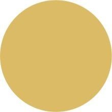 Graphmaster Alcohol Marker Pen - Olive Yellow (41)