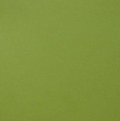 Creative Expressions Foundation Card A4 - Lime (10 shts)