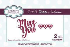 *SALE* Sue Wilson Die - Mini Expressions - Miss You