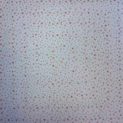 Craft Creations 12" x 12" paper -Stars,Snowflakes and Dots