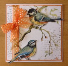 DIY Card Making Kit (1 Card) - Birds on Branch (6" x 6")