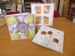 Blocks of Colour Craft Workshop Thurs 31st July 2025
