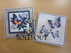 *SOLD OUT* Pop-up Butterflies - Wings Craft Workshop Thurs 29th  January 2026