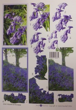 3D Decoupage -Jackie Hanshall Bluebell