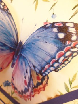 Wings Craft Workshop Thurs 29th February
