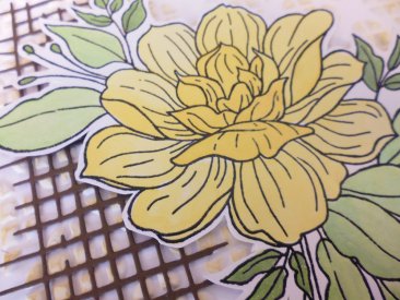Gardenia Craft Workshop Thurs 14th August 2025
