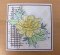 Gardenia Craft Workshop Thurs 14th August 2025