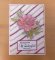 Gardenia Craft Workshop Thurs 14th August 2025