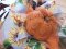 *NEW* Cream Tea and Craft Workshop- Autumn Wreath   Tuesday 9th September